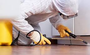 Emergency Pest Control Services in Sewalls Point, FL